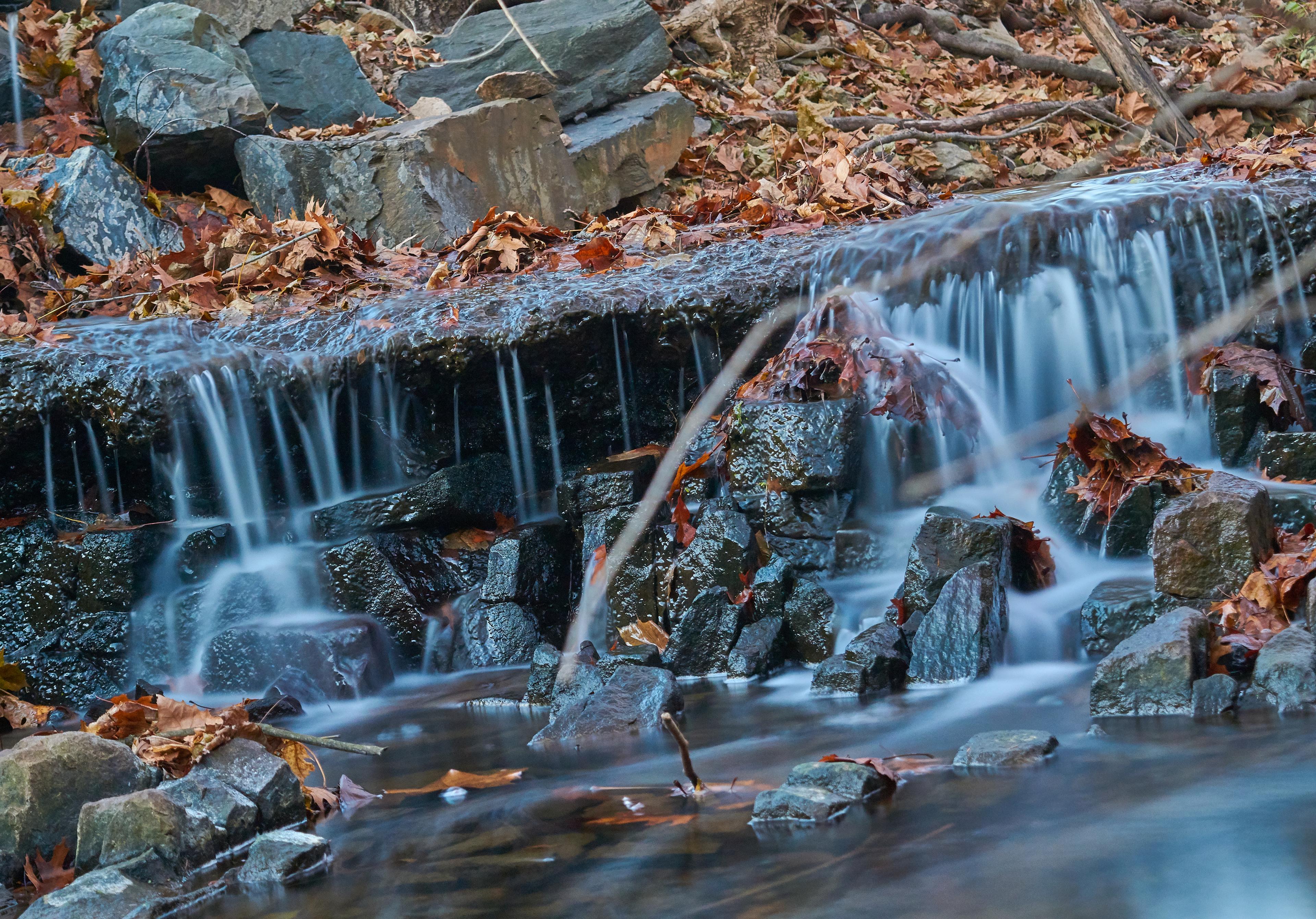  DSC0536f